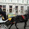 Carriage Horse Drivers Excoriate De Blasio's Extinction Threats